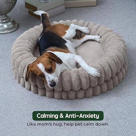 Orthopedic Calming Bed For Medium Dogs best